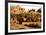 Oasis Bardai, Tchad-Gilles Santantonio-Framed Art Print