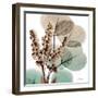 Oasis Eucalyptus 1-Albert Koetsier-Framed Photo