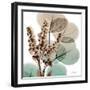 Oasis Eucalyptus 1-Albert Koetsier-Framed Photo