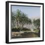 Oasis II - Fade-Graham Petley-Framed Giclee Print