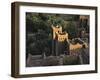 Oasis in Morocco-Michael Brown-Framed Photographic Print
