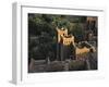 Oasis in Morocco-Michael Brown-Framed Photographic Print