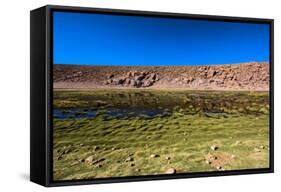 Oasis in the Atacama Desert, Chile and Bolivia-Françoise Gaujour-Framed Stretched Canvas