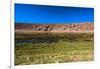 Oasis in the Atacama Desert, Chile and Bolivia-Françoise Gaujour-Framed Photographic Print