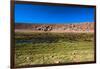 Oasis in the Atacama Desert, Chile and Bolivia-Françoise Gaujour-Framed Photographic Print