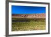 Oasis in the Atacama Desert, Chile and Bolivia-Françoise Gaujour-Framed Photographic Print