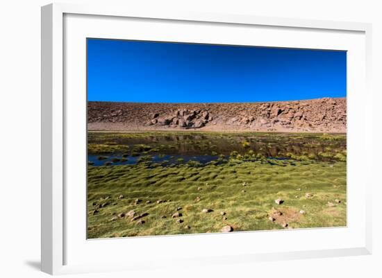 Oasis in the Atacama Desert, Chile and Bolivia-Françoise Gaujour-Framed Photographic Print