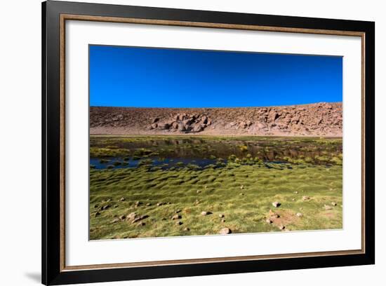 Oasis in the Atacama Desert, Chile and Bolivia-Françoise Gaujour-Framed Photographic Print