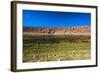 Oasis in the Atacama Desert, Chile and Bolivia-Françoise Gaujour-Framed Photographic Print