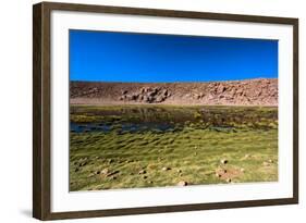 Oasis in the Atacama Desert, Chile and Bolivia-Françoise Gaujour-Framed Photographic Print