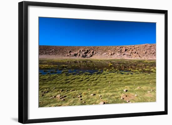 Oasis in the Atacama Desert, Chile and Bolivia-Françoise Gaujour-Framed Photographic Print