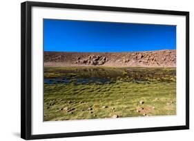 Oasis in the Atacama Desert, Chile and Bolivia-Françoise Gaujour-Framed Photographic Print