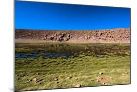 Oasis in the Atacama Desert, Chile and Bolivia-Françoise Gaujour-Mounted Photographic Print
