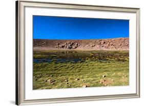 Oasis in the Atacama Desert, Chile and Bolivia-Françoise Gaujour-Framed Photographic Print