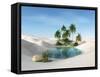 Oasis in the Desert. Palm Trees and Sand. 3D Rendering.-ustas7777777-Framed Stretched Canvas
