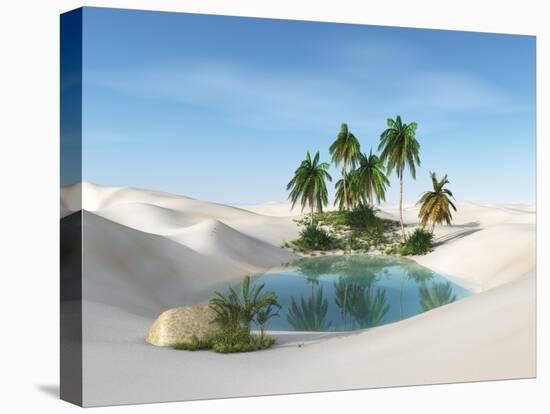 Oasis in the Desert. Palm Trees and Sand. 3D Rendering.-ustas7777777-Stretched Canvas