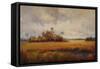 Oasis in the Fall-Hannah Paulsen-Framed Stretched Canvas