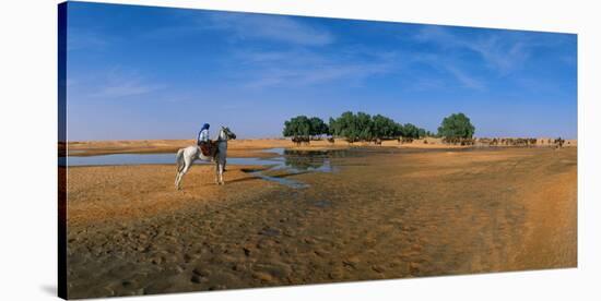 Oasis of Ksar Ghilane, Medenine, Tunisia-null-Stretched Canvas