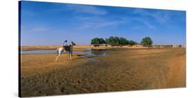 Oasis of Ksar Ghilane, Medenine, Tunisia-null-Stretched Canvas