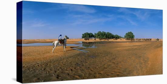 Oasis of Ksar Ghilane, Medenine, Tunisia-null-Stretched Canvas