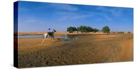 Oasis of Ksar Ghilane, Medenine, Tunisia-null-Stretched Canvas