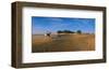 Oasis of Ksar Ghilane, Medenine, Tunisia-null-Framed Art Print