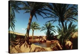 Oasis on the Road South of Adrar, Algeria-Sinclair Stammers-Stretched Canvas