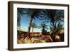 Oasis on the Road South of Adrar, Algeria-Sinclair Stammers-Framed Photographic Print