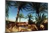 Oasis on the Road South of Adrar, Algeria-Sinclair Stammers-Mounted Photographic Print