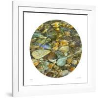 Oasis Pool Circle-Joy Doherty-Framed Giclee Print