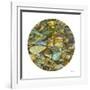 Oasis Pool Circle-Joy Doherty-Framed Giclee Print