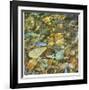 Oasis Pool Square-Joy Doherty-Framed Giclee Print