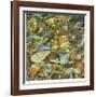 Oasis Pool Square-Joy Doherty-Framed Giclee Print