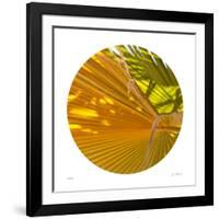 Oasis Shade Circle 1-Joy Doherty-Framed Giclee Print