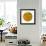 Oasis Shade Circle 1-Joy Doherty-Framed Giclee Print displayed on a wall