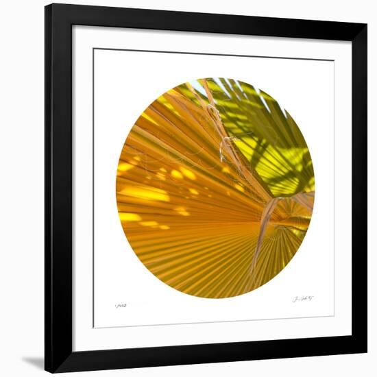 Oasis Shade Circle 1-Joy Doherty-Framed Giclee Print