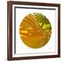 Oasis Shade Circle 1-Joy Doherty-Framed Giclee Print