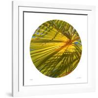 Oasis Shade Circle 2-Joy Doherty-Framed Giclee Print