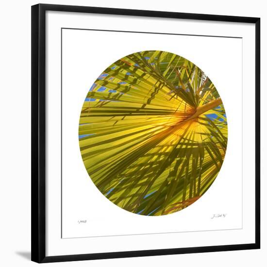 Oasis Shade Circle 2-Joy Doherty-Framed Giclee Print