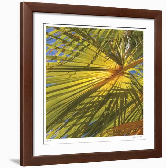 Oasis Shade Square 1-Joy Doherty-Framed Giclee Print