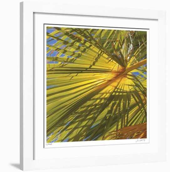 Oasis Shade Square 1-Joy Doherty-Framed Giclee Print