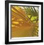 Oasis Shade Square 4-Joy Doherty-Framed Giclee Print