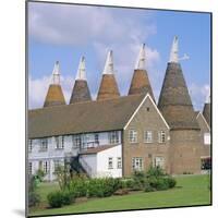 Oast Houses, Whitbread Hop Centre, East Peckham, Kent, England-Roy Rainford-Mounted Photographic Print