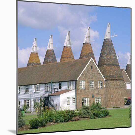 Oast Houses, Whitbread Hop Centre, East Peckham, Kent, England-Roy Rainford-Mounted Photographic Print