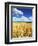 Oat Field, Thorverton, Devon, England, United Kingdom, Europe-Jeremy Lightfoot-Framed Photographic Print