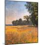 Oat Fields-Claude Monet-Mounted Art Print