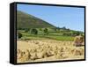 Oat Stooks, Knockshee, Mourne Mountains, County Down, Ulster, Northern Ireland, UK, Europe-Jeremy Lightfoot-Framed Stretched Canvas