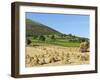 Oat Stooks, Knockshee, Mourne Mountains, County Down, Ulster, Northern Ireland, UK, Europe-Jeremy Lightfoot-Framed Photographic Print