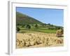 Oat Stooks, Knockshee, Mourne Mountains, County Down, Ulster, Northern Ireland, UK, Europe-Jeremy Lightfoot-Framed Photographic Print