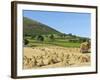 Oat Stooks, Knockshee, Mourne Mountains, County Down, Ulster, Northern Ireland, UK, Europe-Jeremy Lightfoot-Framed Photographic Print